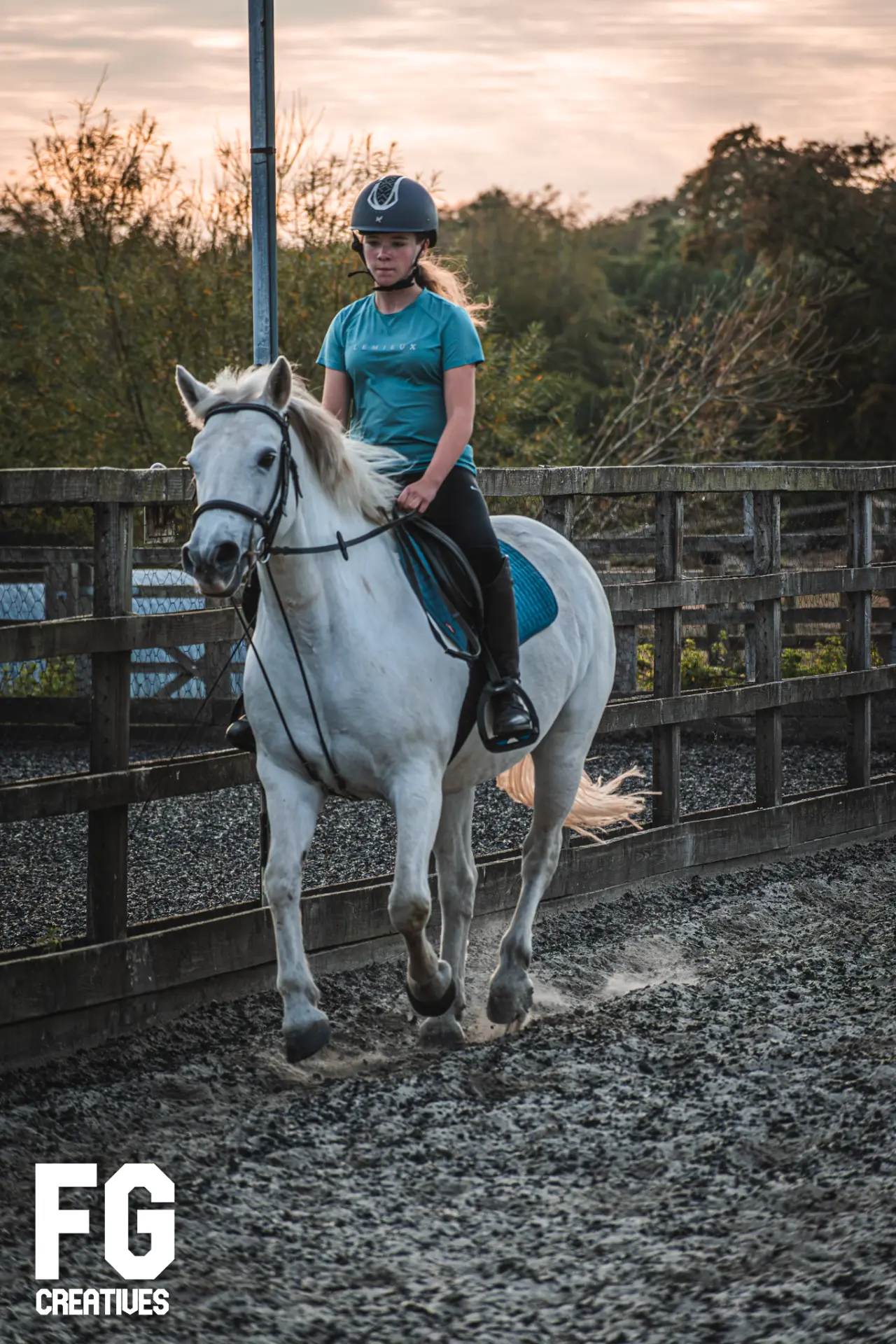 Equestrian rider exercising a white horse at sunset