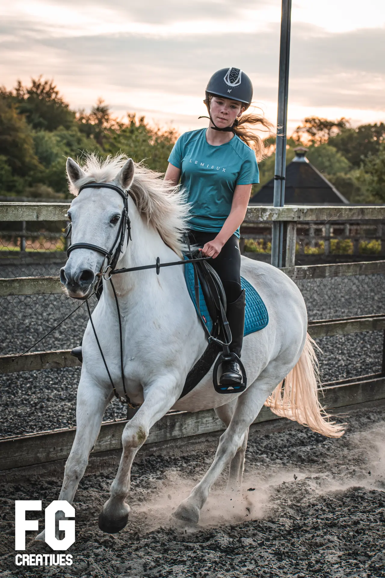 Dynamic equestrian photograph of a white horse cantering